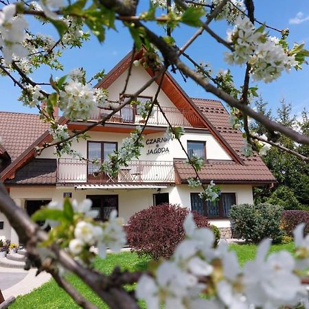 Czarna Jagoda Czarna Góra Buitenkant foto