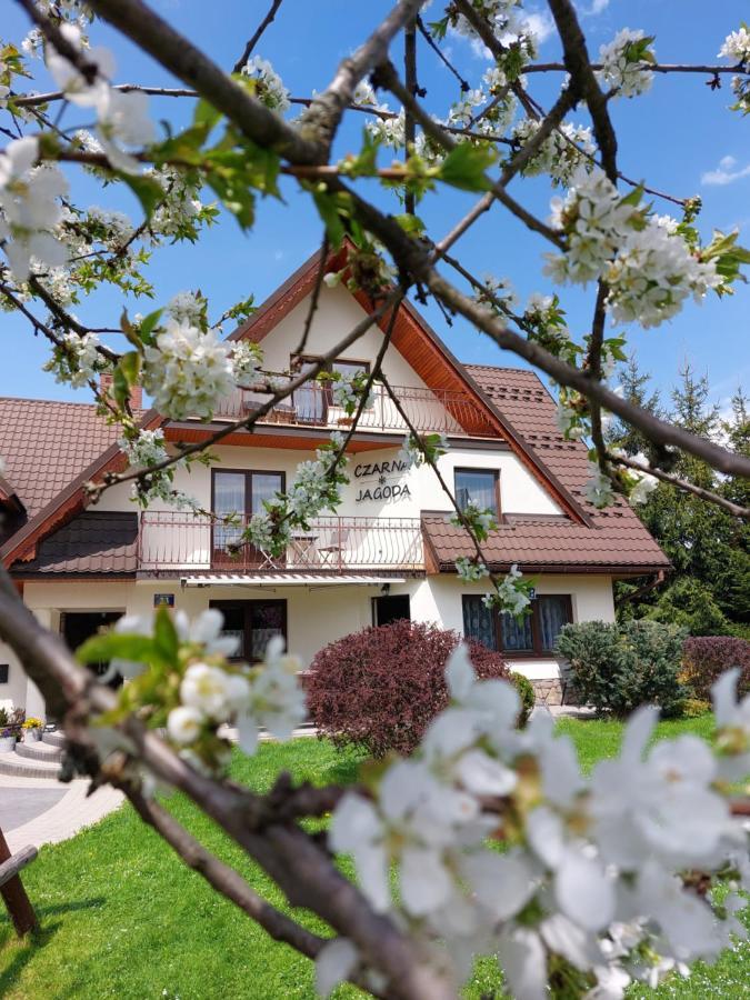 Czarna Jagoda Czarna Góra Buitenkant foto