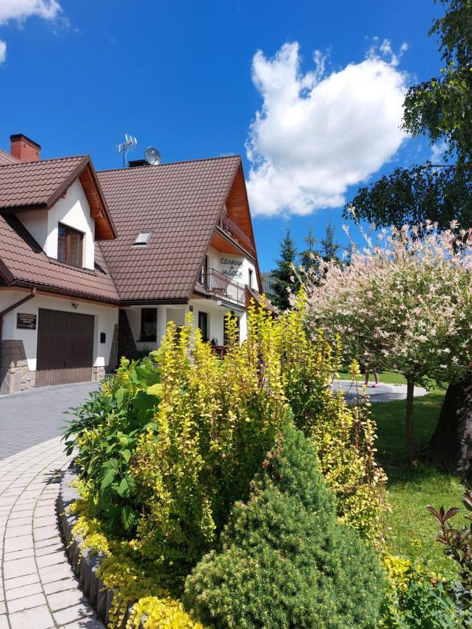 Czarna Jagoda Czarna Góra Buitenkant foto