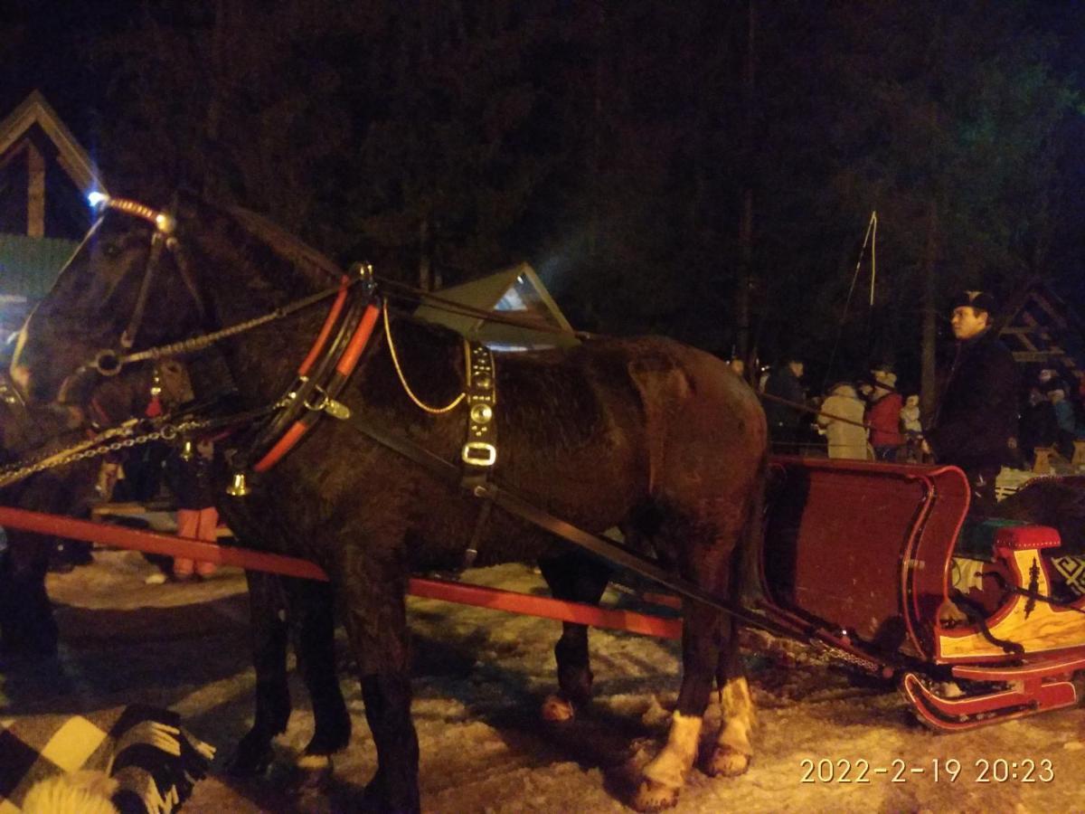 Czarna Jagoda Czarna Góra Buitenkant foto
