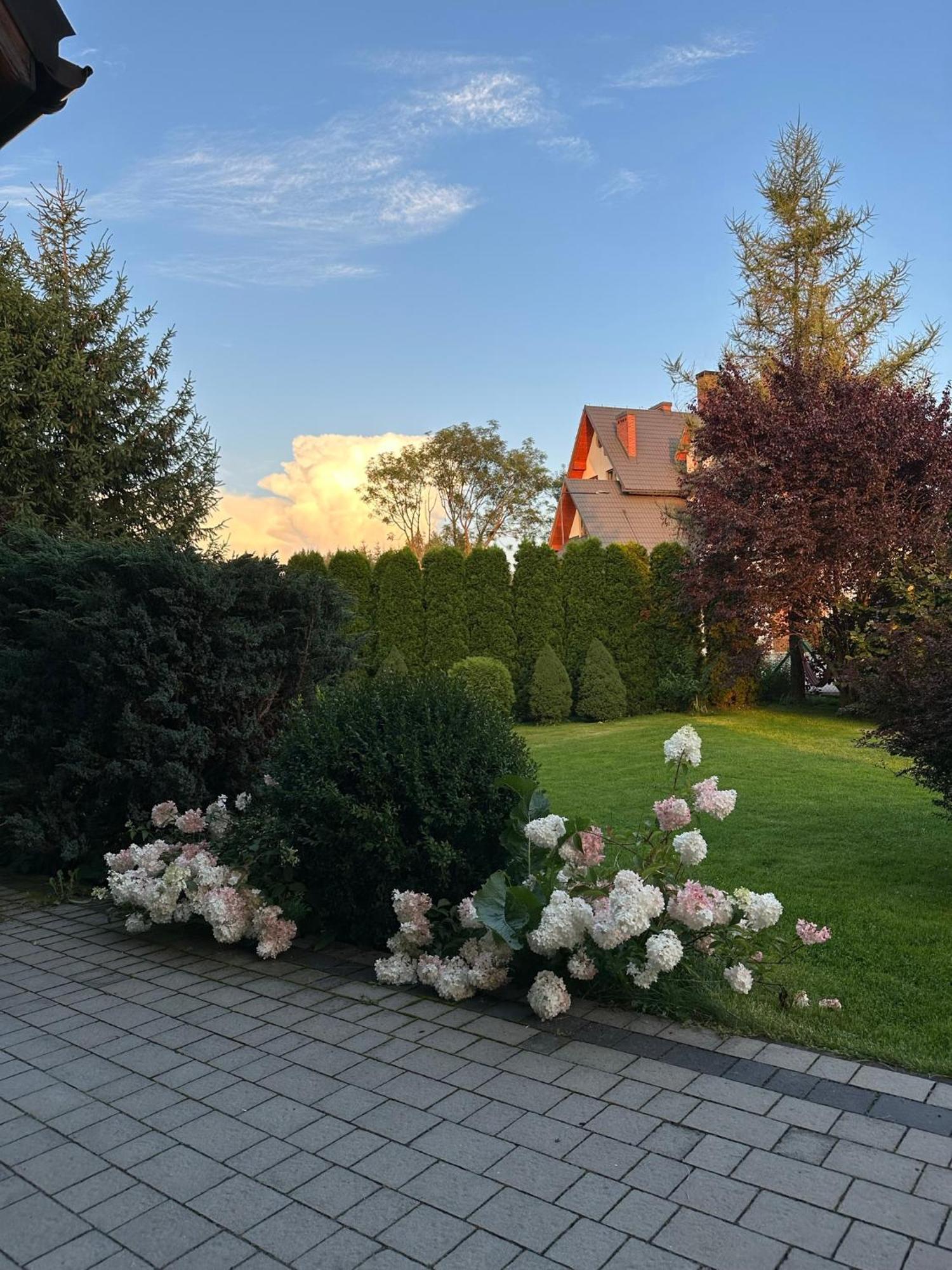 Czarna Jagoda Czarna Góra Buitenkant foto