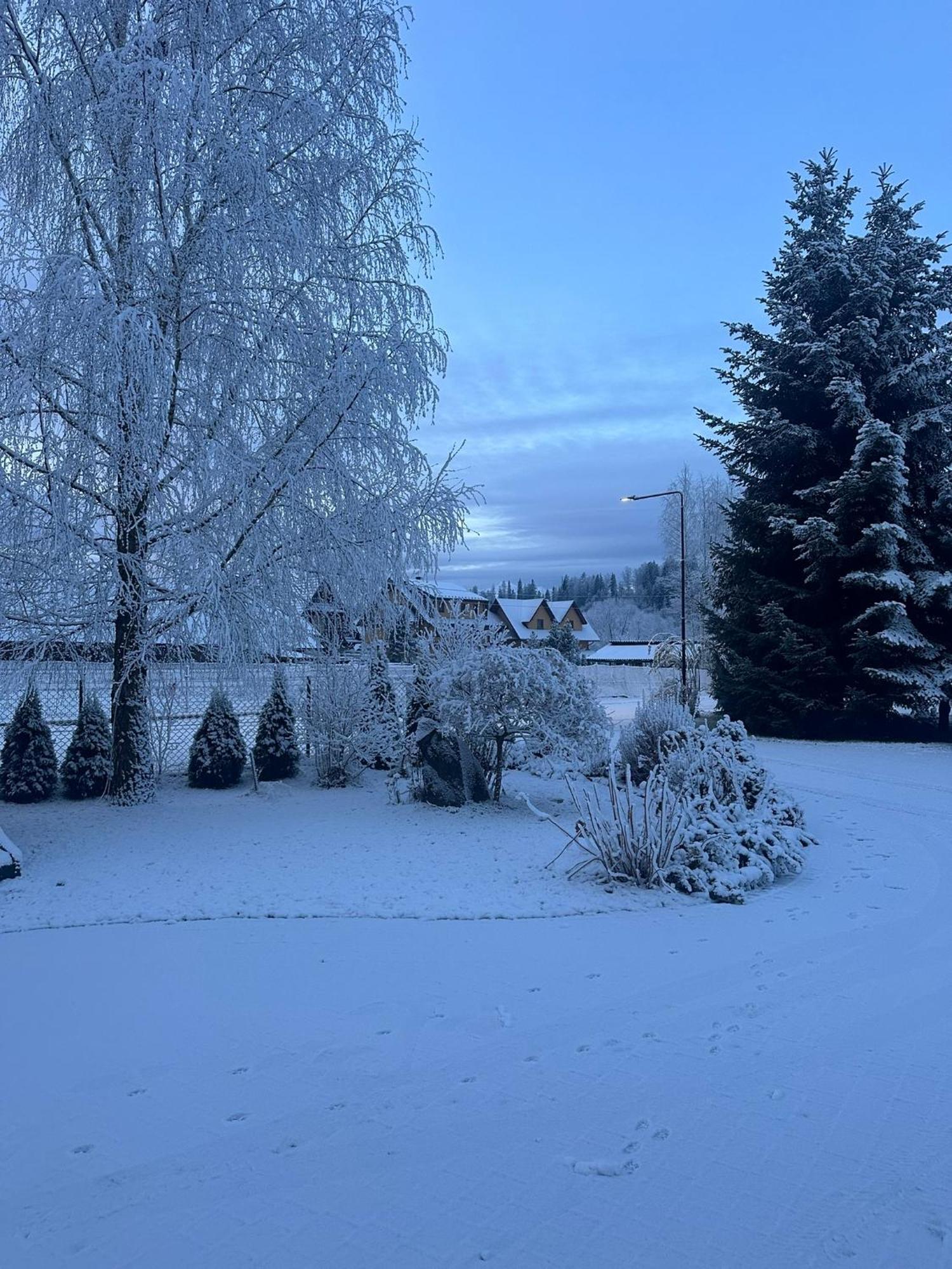 Czarna Jagoda Czarna Góra Buitenkant foto
